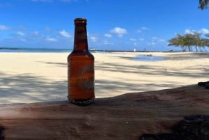 Motoscafo privato per l'isola di Bernache e le mangrovie di Mauritius
