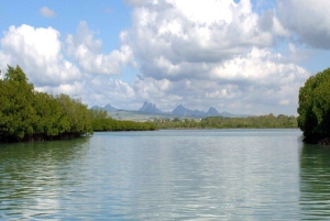 Motoscafo privato per l'isola di Bernache e le mangrovie di Mauritius