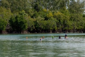 Motoscafo privato per l'isola di Bernache e le mangrovie di Mauritius