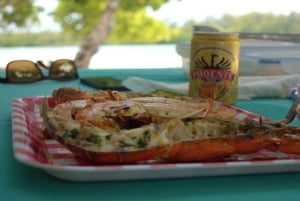 Motoscafo privato per l'isola di Bernache e le mangrovie di Mauritius