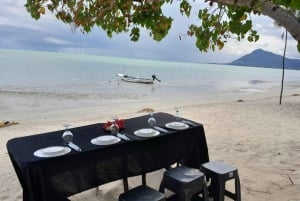 Aventura ecológica com baleias e golfinhos e churrasco na Ilha Benitier