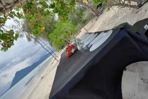 Aventura ecológica com baleias e golfinhos e churrasco na Ilha Benitier