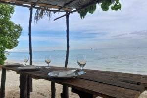 Aventura ecológica com baleias e golfinhos e churrasco na Ilha Benitier