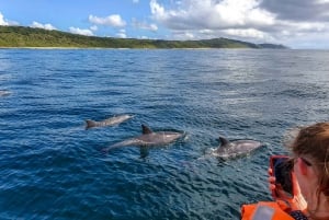 Private Sunset Dinner with Snorkeling on the west coast