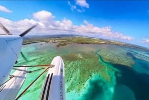 Côte Est de l'île Maurice visite privée en hydravion panoramique