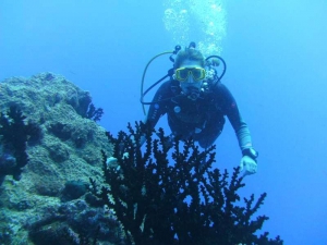 Seaman Diving