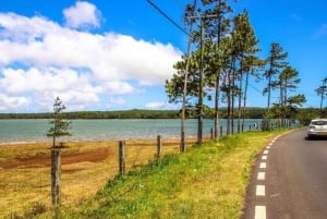 Signature South West Full day with visit to 3 parks & Lunch