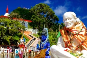 Signature South West Full day with visit to 3 parks & Lunch