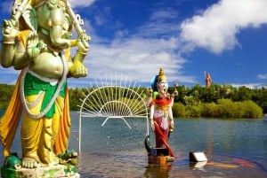 Signature South West Full day with visit to 3 parks & Lunch