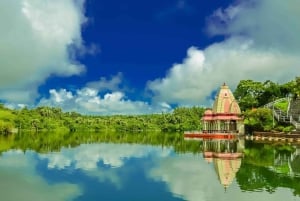 Signature South West Full day with visit to 3 parks & Lunch