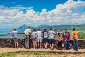 Signature South West Full day with visit to 3 parks & Lunch