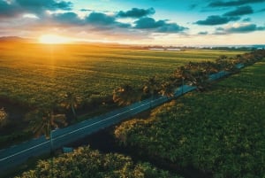 Signature South West Full day with visit to 3 parks & Lunch