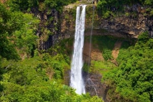 Signature South West Full day with visit to 3 parks & Lunch