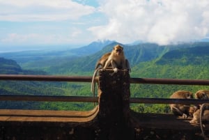 Signature South West Full day with visit to 3 parks & Lunch