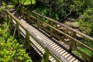 Signature South West Full day with visit to 3 parks & Lunch