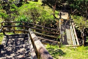 Signature South West Full day with visit to 3 parks & Lunch