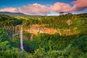 Signature South West Full day with visit to 3 parks & Lunch