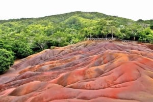 Signature South West Full day with visit to 3 parks & Lunch