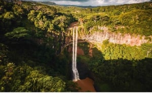 Signature South West Full day with visit to 3 parks & Lunch