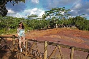 Signature South West Full day with visit to 3 parks & Lunch