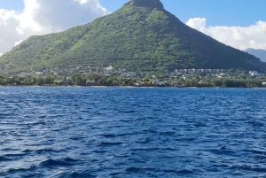Mauritius: Snorkel and Swim with Dolphins on Speedboat Tour