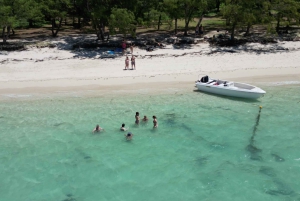 Snorkel with Dolphin in West, Visit Ile aux Cerfs isle East