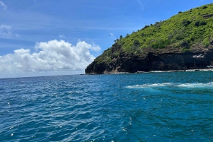 Snorkeling : Coin de Mire en speedboat Nord île Maurice