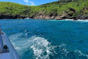 Подводное плавание: Coin de Mire на скоростном катере Nord ile Maurice