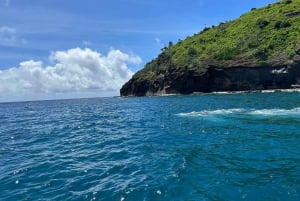 Подводное плавание: Coin de Mire на скоростном катере Nord ile Maurice
