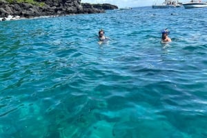 Подводное плавание: Coin de Mire на скоростном катере Nord ile Maurice