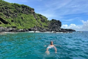 Подводное плавание: Coin de Mire на скоростном катере Nord ile Maurice