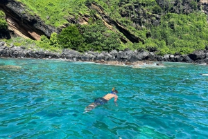 Подводное плавание: Coin de Mire на скоростном катере Nord ile Maurice