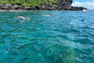 Подводное плавание: Coin de Mire на скоростном катере Nord ile Maurice