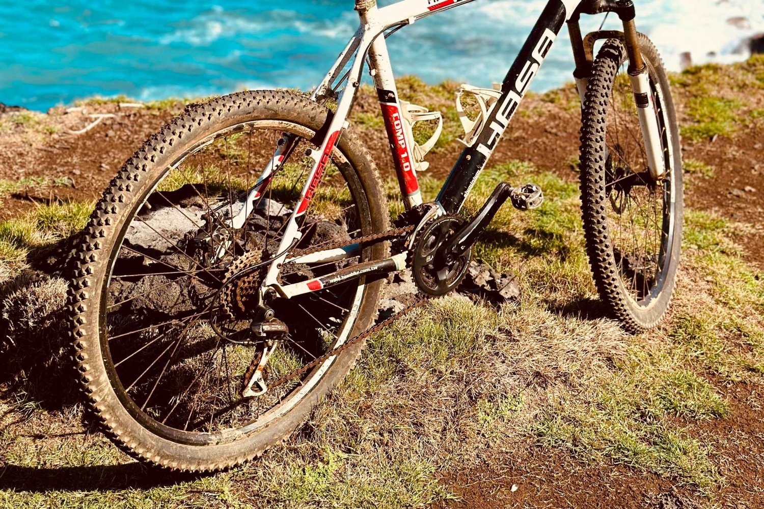 Excursion éco-découverte du sud avec balade à vélo et déjeuner pique-nique