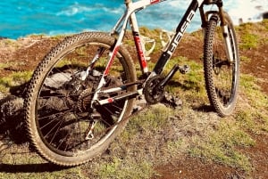 Excursion éco-découverte du sud avec balade à vélo et déjeuner pique-nique