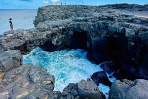 Excursion éco-découverte du sud avec balade à vélo et déjeuner pique-nique