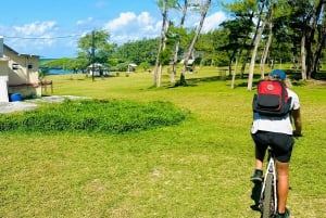 Excursion éco-découverte du sud avec balade à vélo et déjeuner pique-nique
