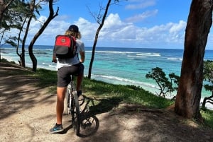 Excursion éco-découverte du sud avec balade à vélo et déjeuner pique-nique
