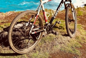 South Discovery Eco Tour with Bike Ride and Picnic Lunch