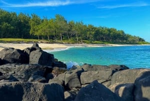 South Discovery Eco Tour with Bike Ride and Picnic Lunch