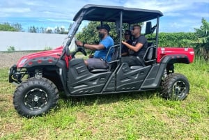 Sul de Maurício: Passeio de Buggy