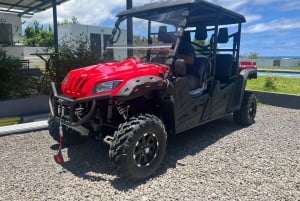 Sul de Maurício: Passeio de Buggy