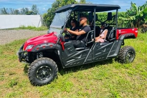 Sul de Maurício: Passeio de Buggy