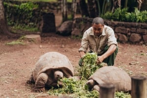South of Mauritius: Between land and sea with a meal and rum tasting