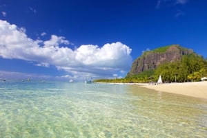 South of Mauritius: Between land and sea with a meal and rum tasting