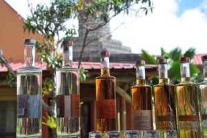 South of Mauritius: Between land and sea with a meal and rum tasting