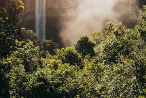 Sud di Mauritius: giornata intera privata con pranzo e Chamarel