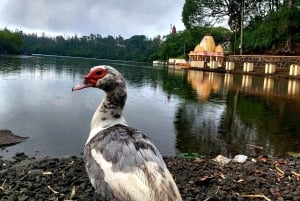 Sud di Mauritius: giornata intera privata con pranzo e Chamarel