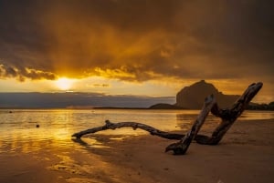 Sud di Mauritius: giornata intera privata con pranzo e Chamarel