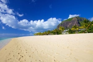 Sud di Mauritius: giornata intera privata con pranzo e Chamarel